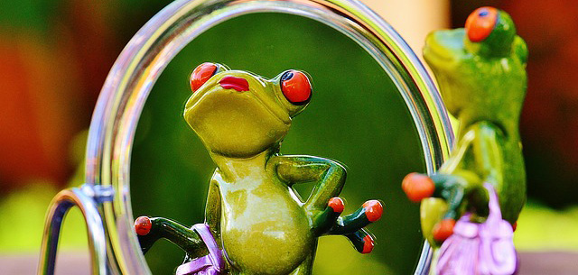 frog